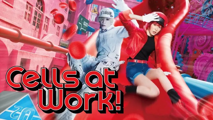 Cells at Work! (2024) Multi Audio English WEB-DL